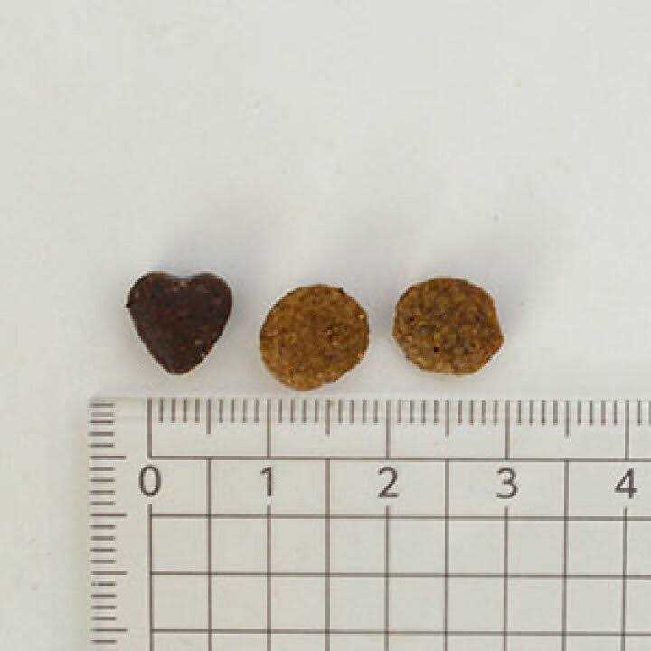 Forza10 Nutraceutic Active Intestinal Support Diet Dry Cat Food - Nail Gallerys