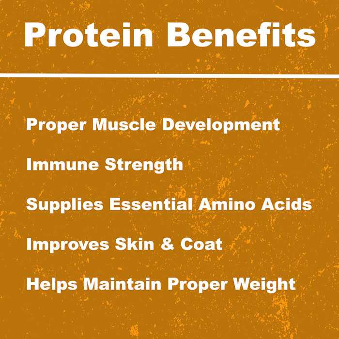 Whole Life Pet Just One Ingredient Freeze-Dried Chicken Dog Treats - Nail Gallerys