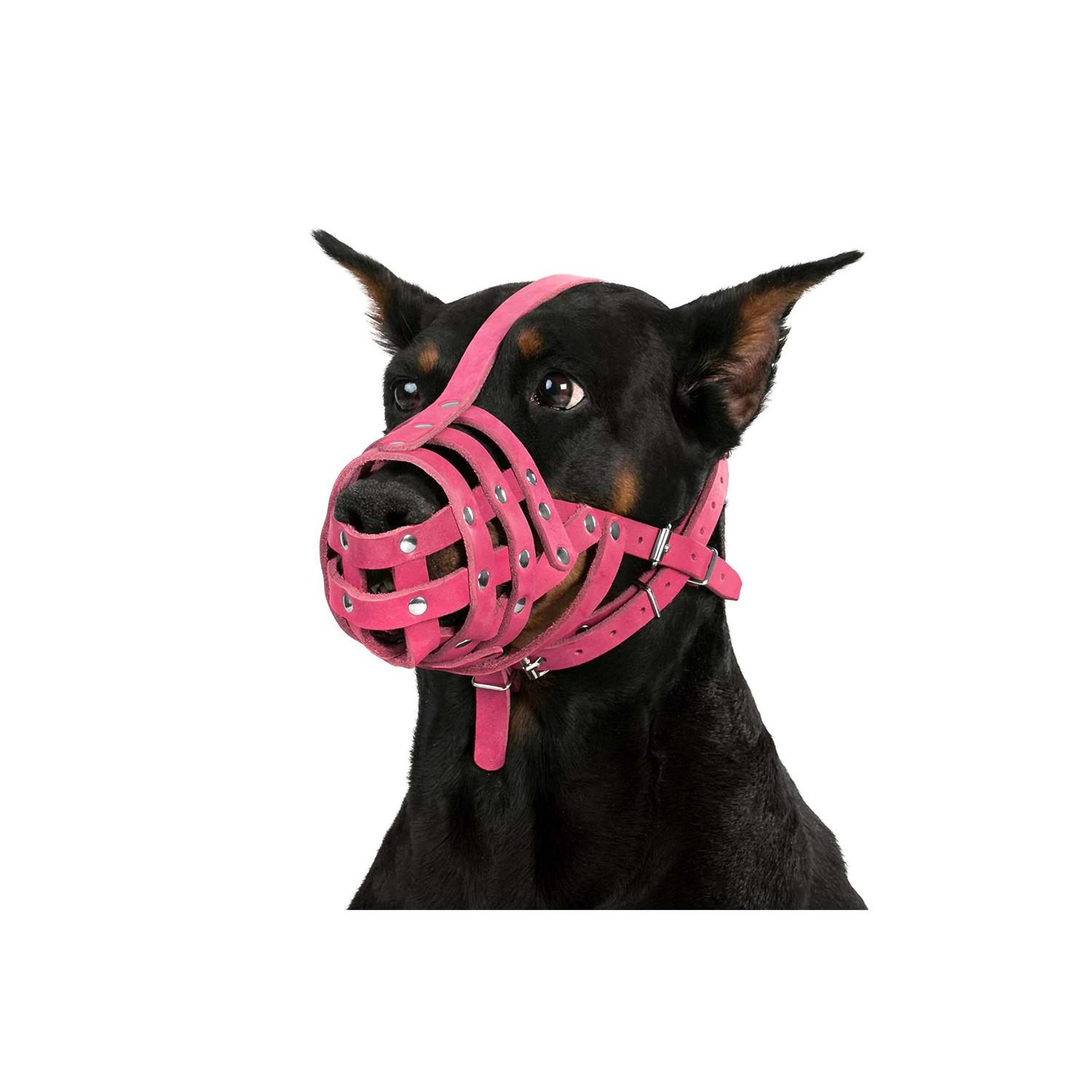 CollarDirect Dog Muzzle German Shepherd Dalmatian Doberman Setter Leather Basket Medium Large Breeds - Nail Gallerys