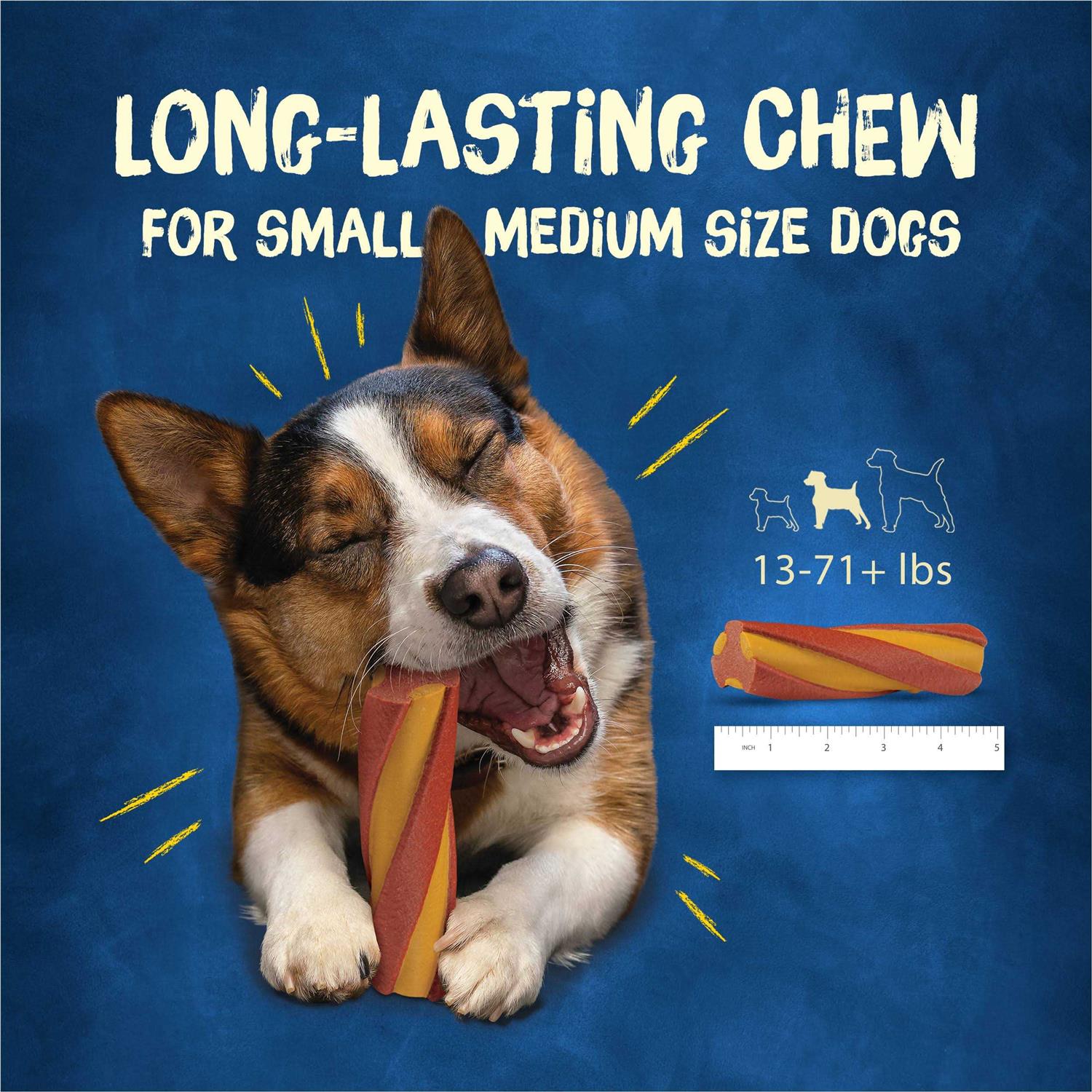 Purina Busy with Beggin’ Twist’d Small/Medium Dog Treats - Nail Gallerys