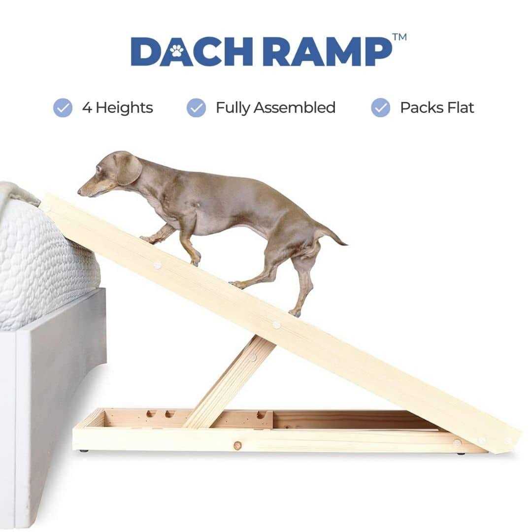 Dachramp The Original Dachshund Ramp - Nail Gallerys
