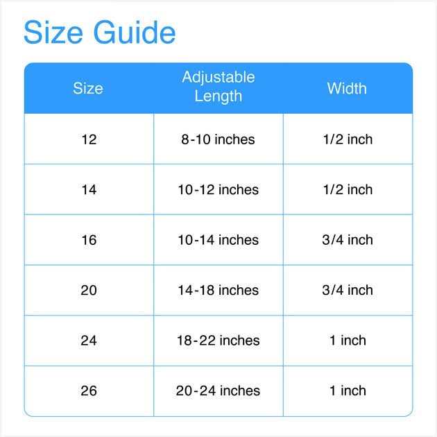 OmniPet Signature Leather Dog Collar - Nail Gallerys