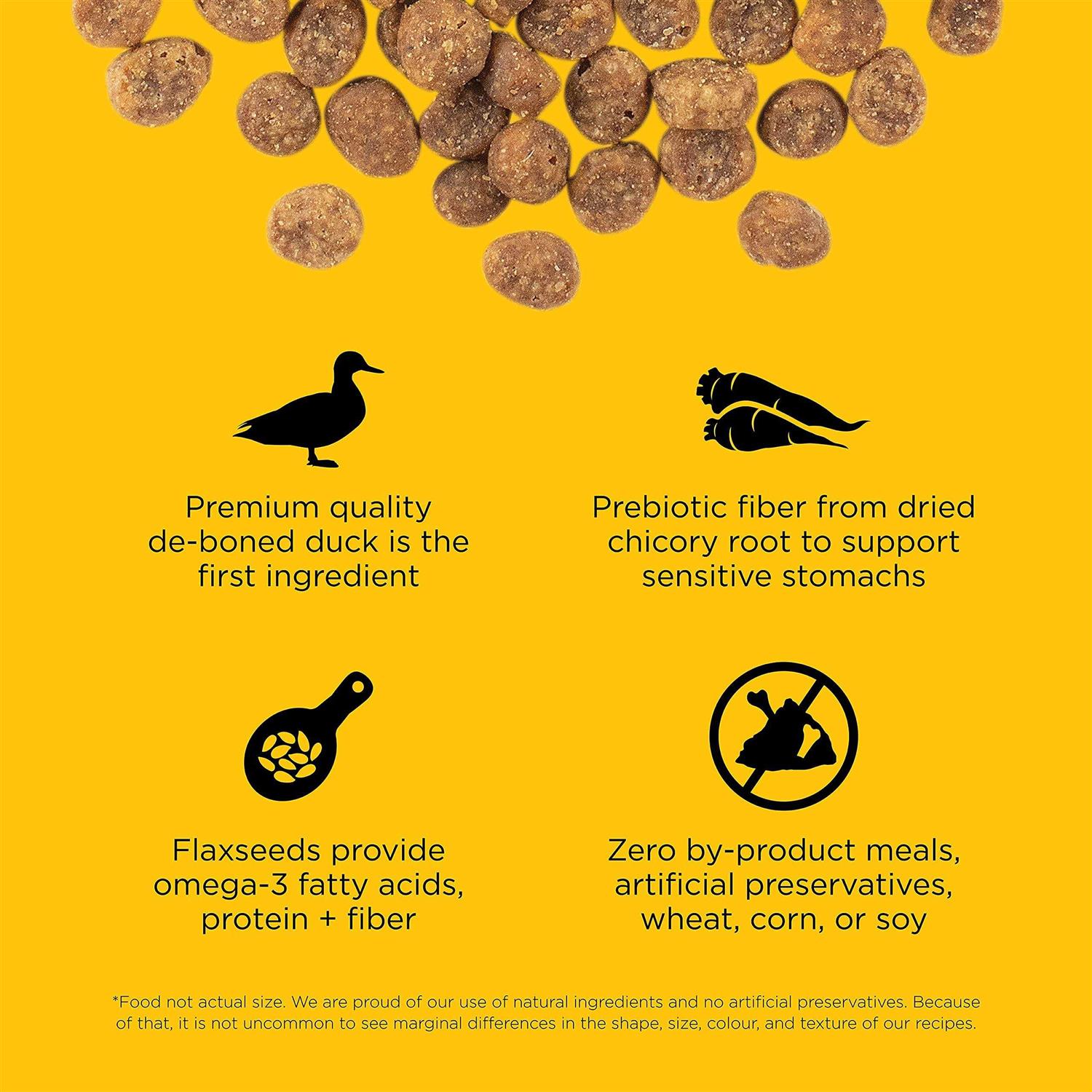 Go! Solutions Sensitivities Limited Ingredient Duck Recipe Dry Cat Food - Nail Gallerys