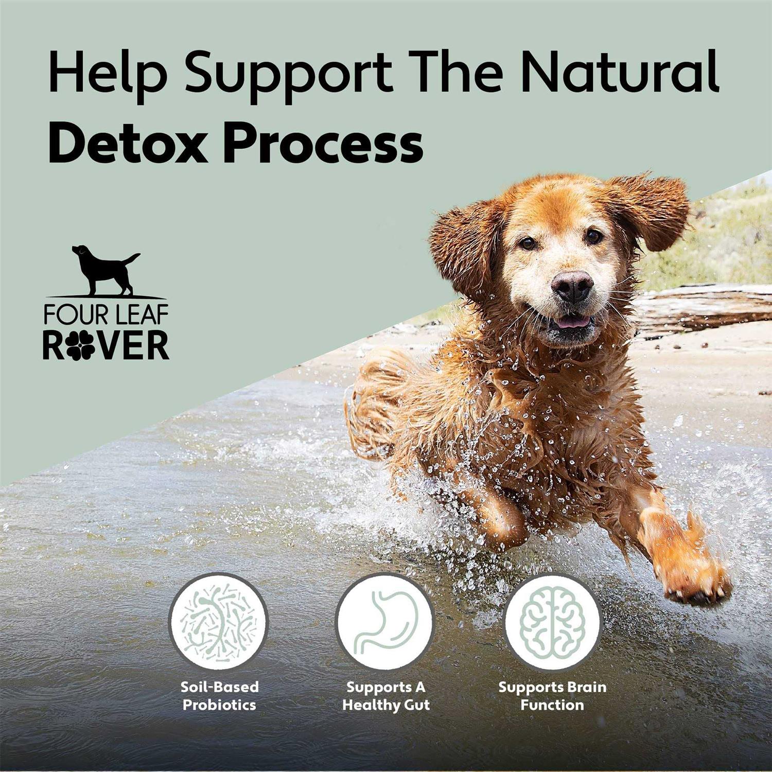 Four Leaf Rover Protect Soil-Based Probiotics and Prebiotics for Dogs - Nail Gallerys