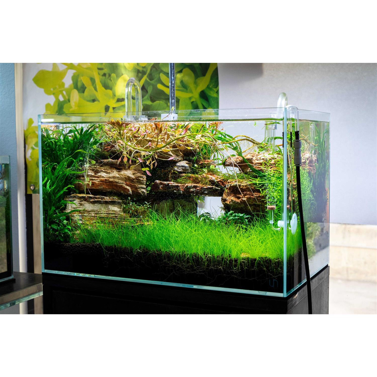 Ultum Nature Systems Rimless Aquarium UNS 45U 9 gallons - Nail Gallerys