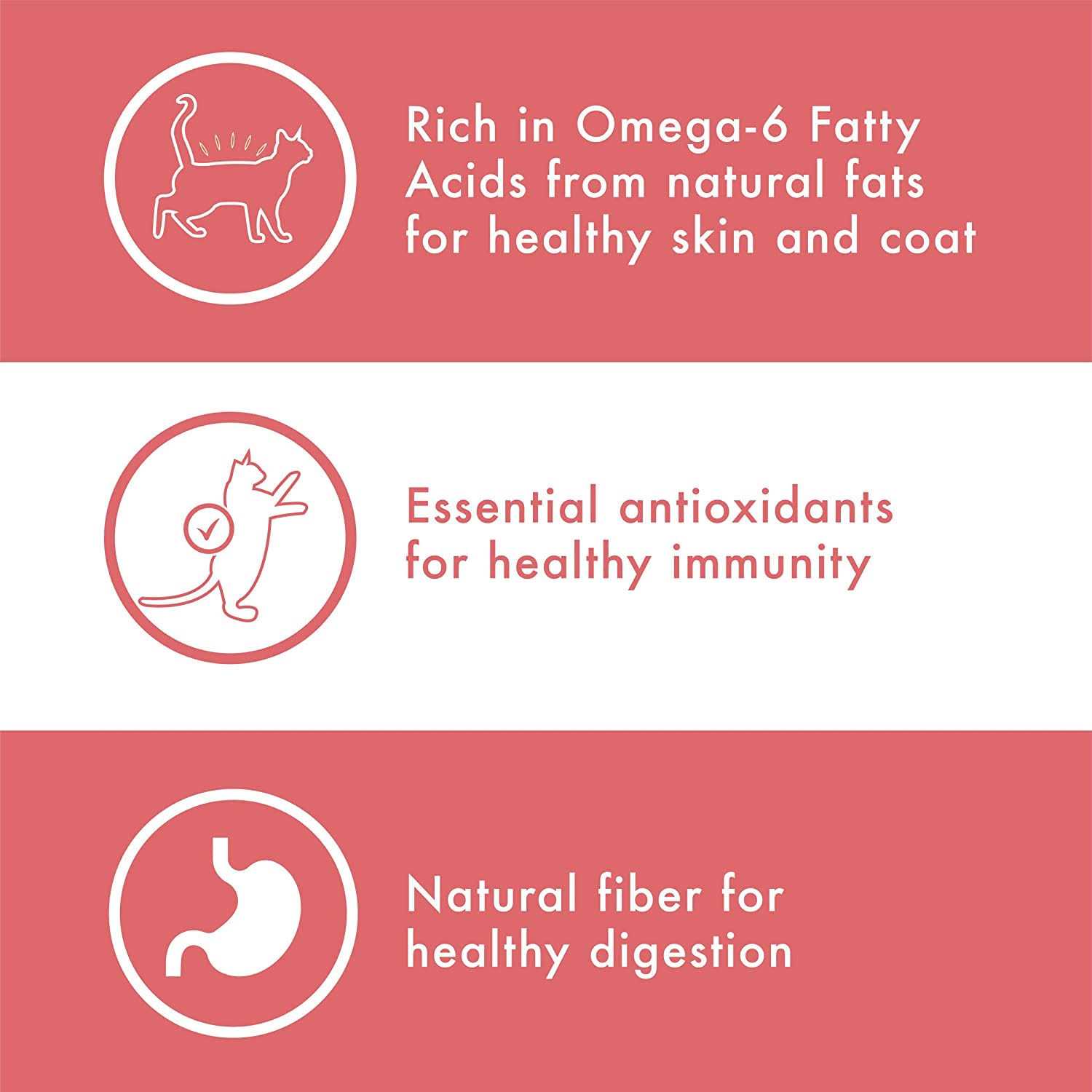 Nutro Wholesome Essentials Brown Rice Cat Food - Nail Gallerys