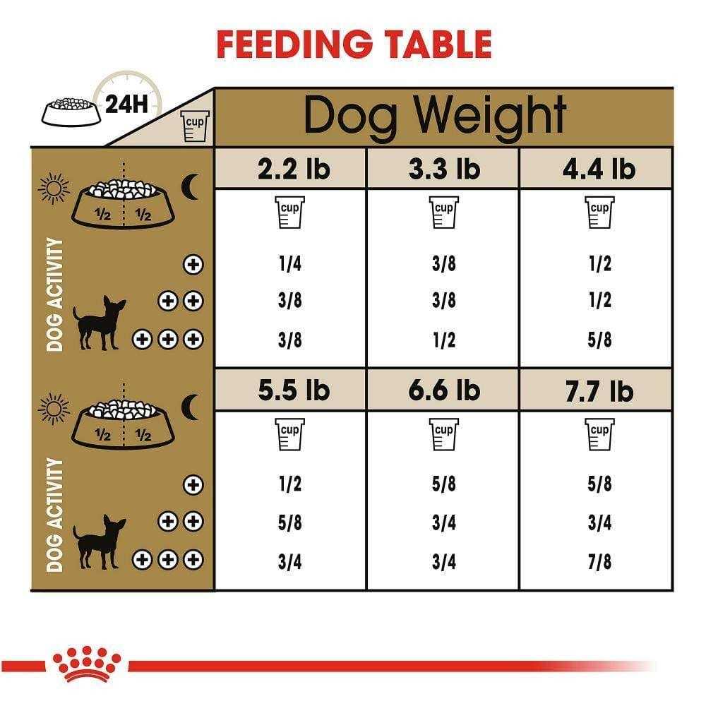 Royal Canin Chihuahua Adult Dry Dog Food 8 Plus Years - Nail Gallerys
