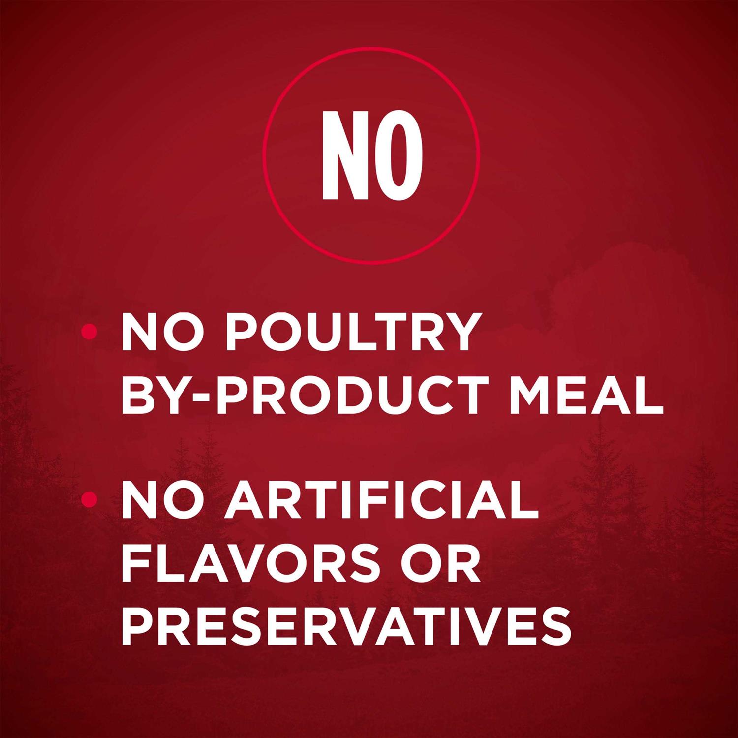 Purina ONE Grain Free Natural Dry Dog Food - Nail Gallerys