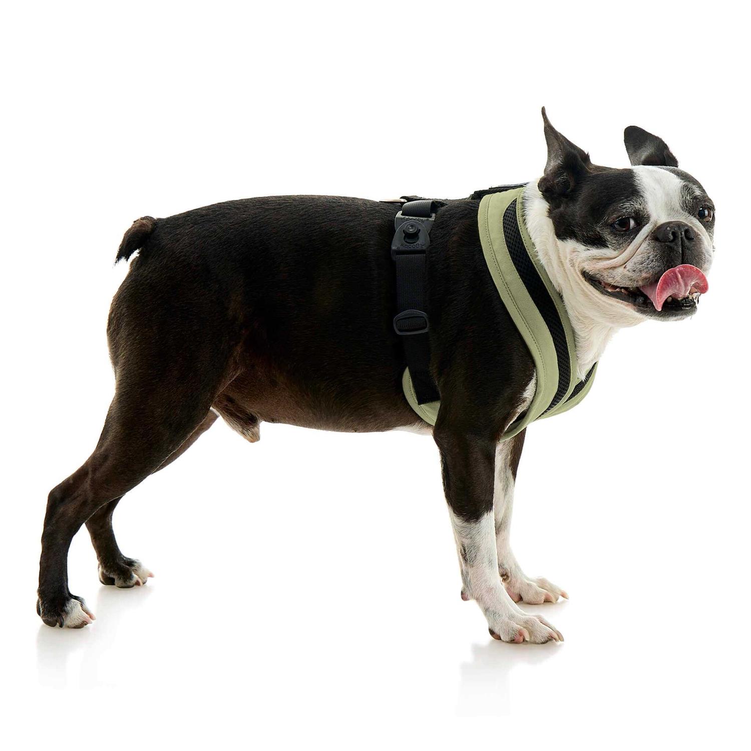 Gooby Escape Free Comfort X One Dog Harness - Nail Gallerys