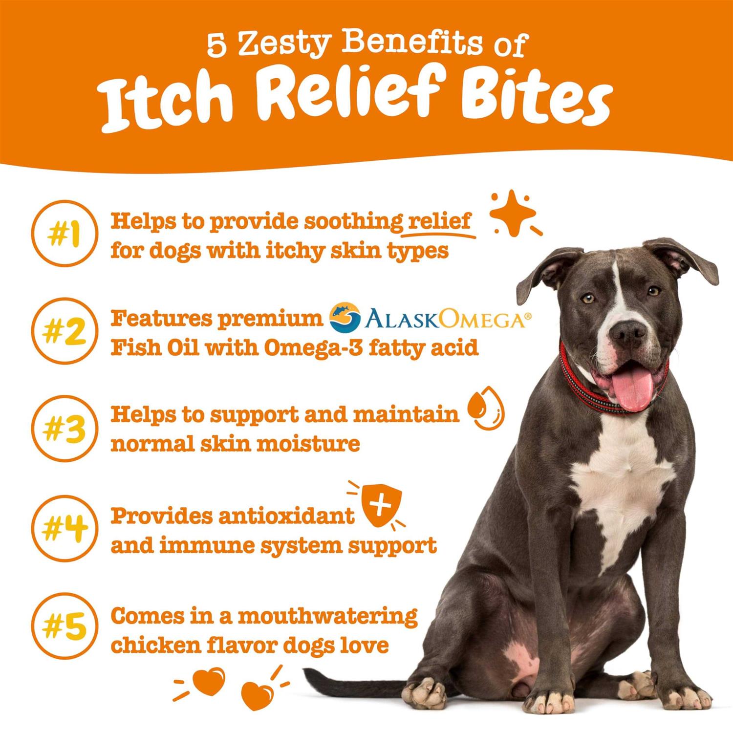 Zesty Paws Itch Relief Bites Chicken Flavored Soft Chews Supplement for Dogs - Nail Gallerys