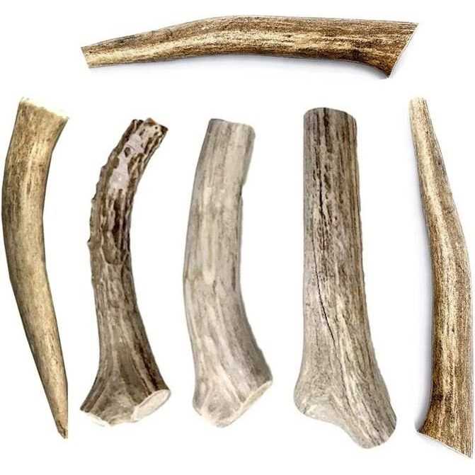 Hotspot Pets All Natural Whole Deer Antler Dog Chew Treats - Nail Gallerys