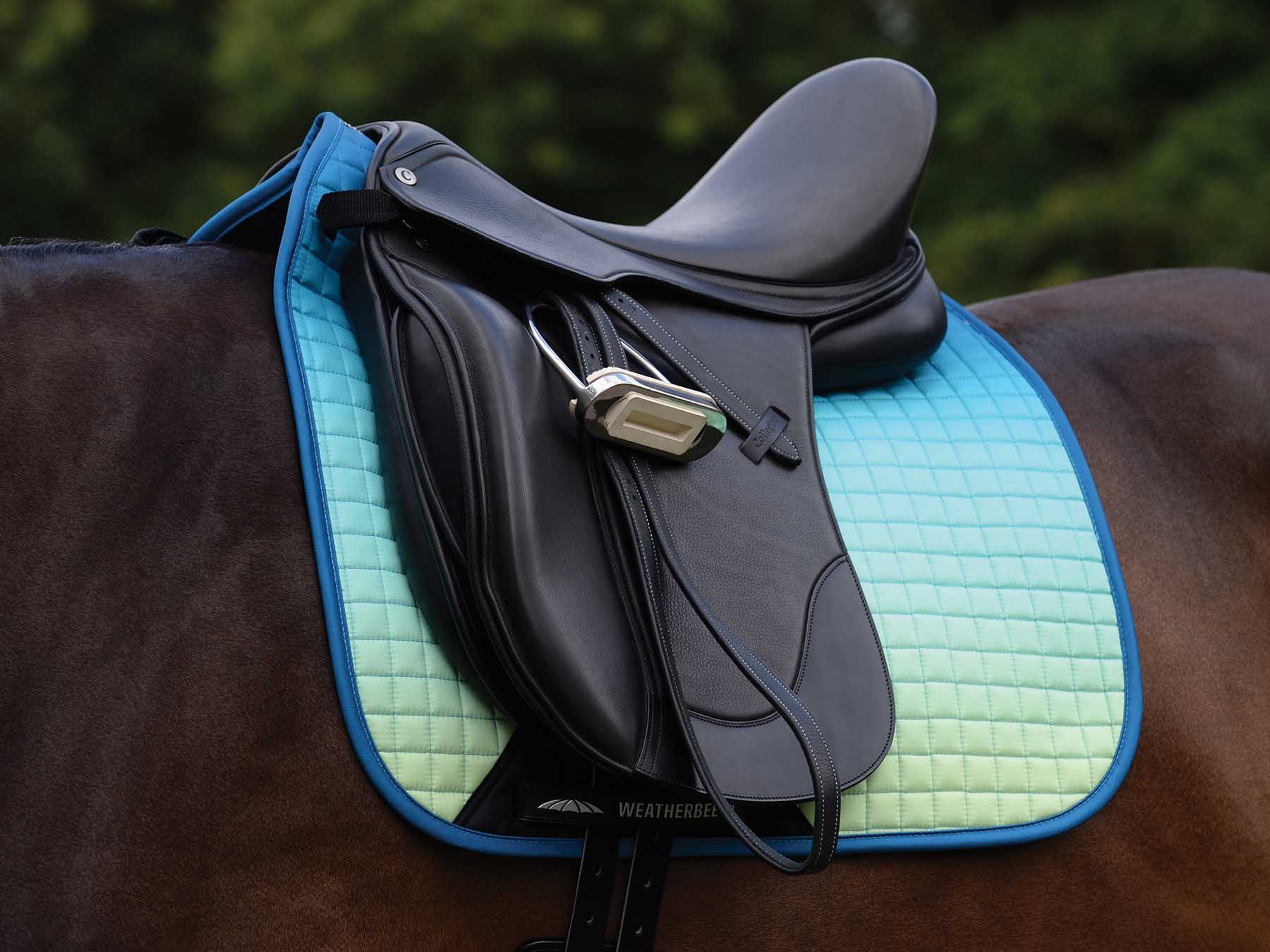 WeatherBeeta Prime Ombre Dressage Saddle Pad - Nail Gallerys