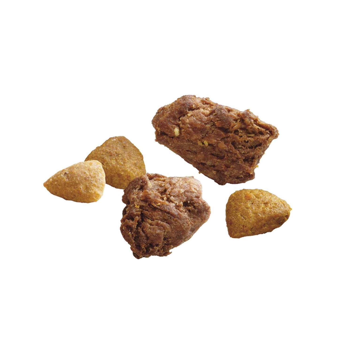 Purina ONE Real Turkey & Venison True Instinct Dry Dog Food - Nail Gallerys