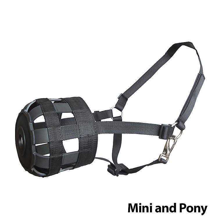 Economy Nylon Halter Grazing Muzzle - Nail Gallerys