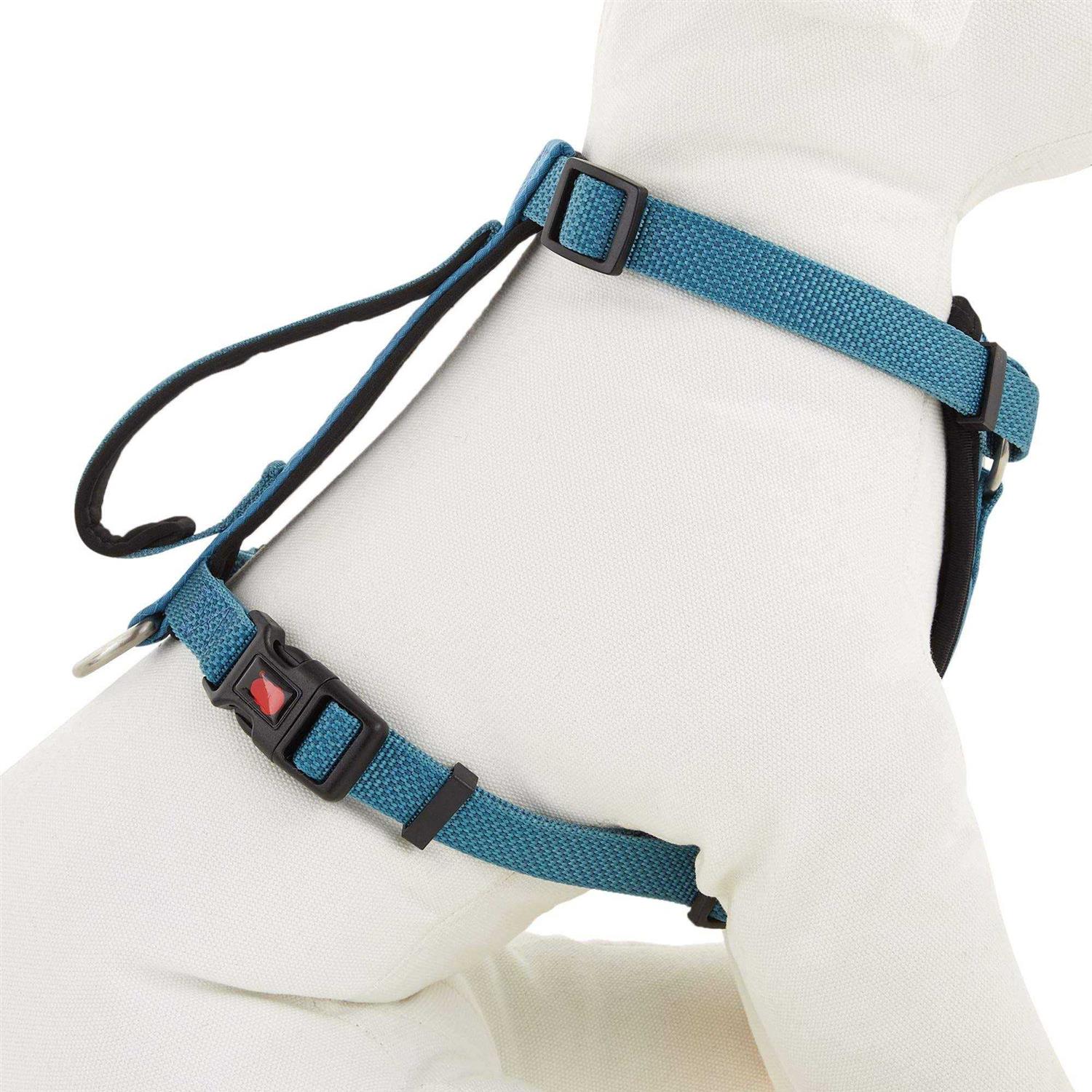 Kong Comfort Padded Chest Plate Dog Harness - Nail Gallerys