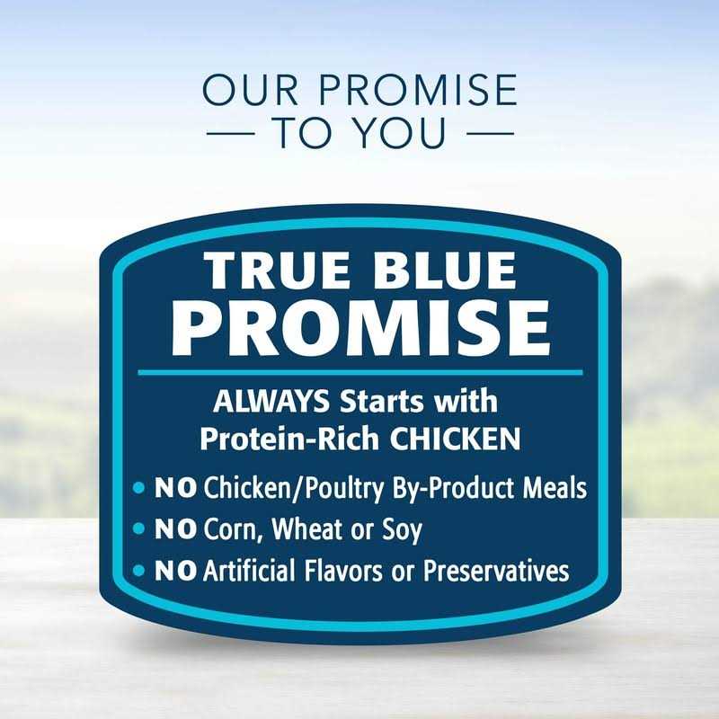 Blue Buffalo Homestyle Recipe Senior Dog Food Chicken Dinner - Nail Gallerys