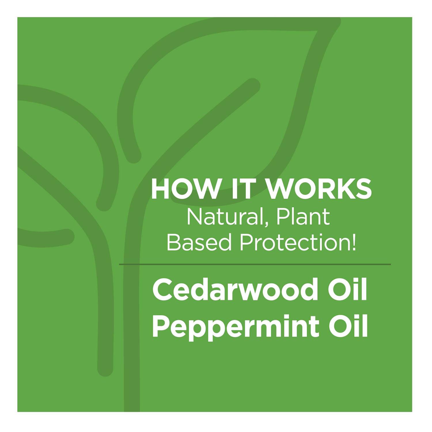 Vetality Naturals Flea & Tick Collar for Dogs - Nail Gallerys