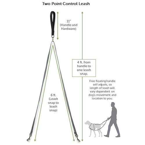 PetSafe Two Point Control Dog Leash - Nail Gallerys