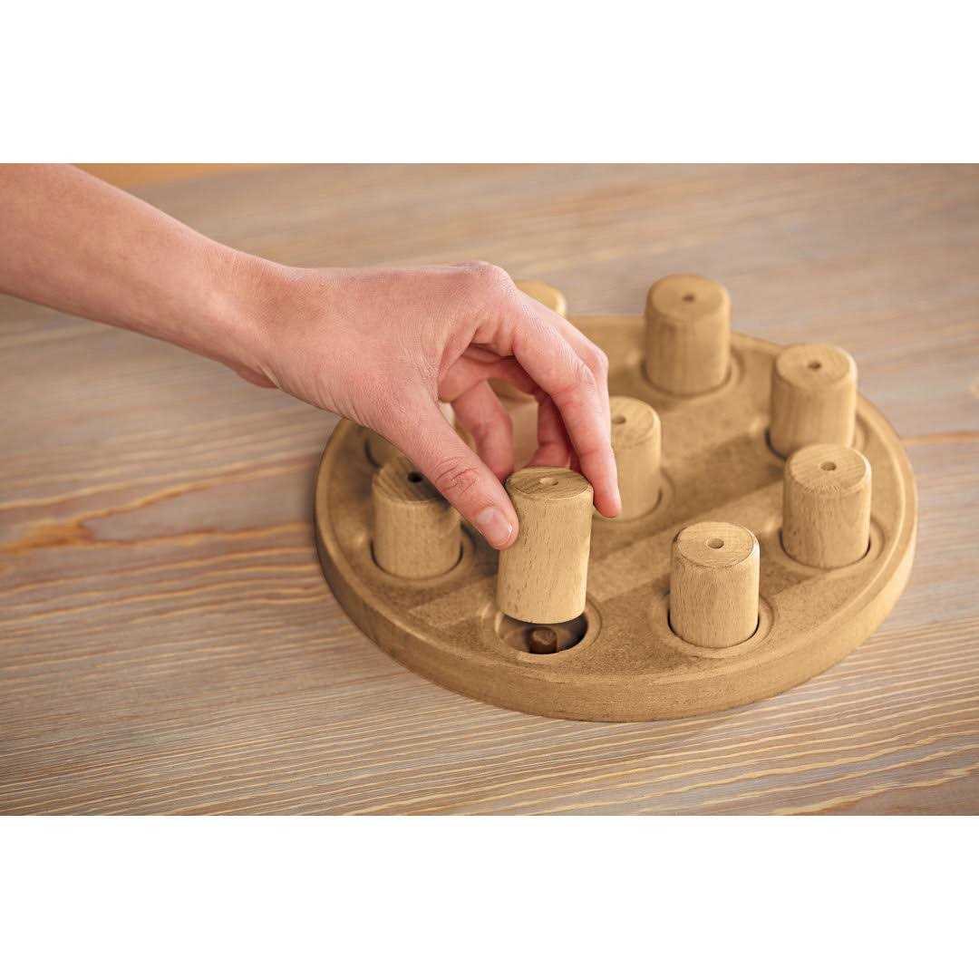 Outward Hound Nina Ottosson Dog Smart Composite Puzzle - Nail Gallerys