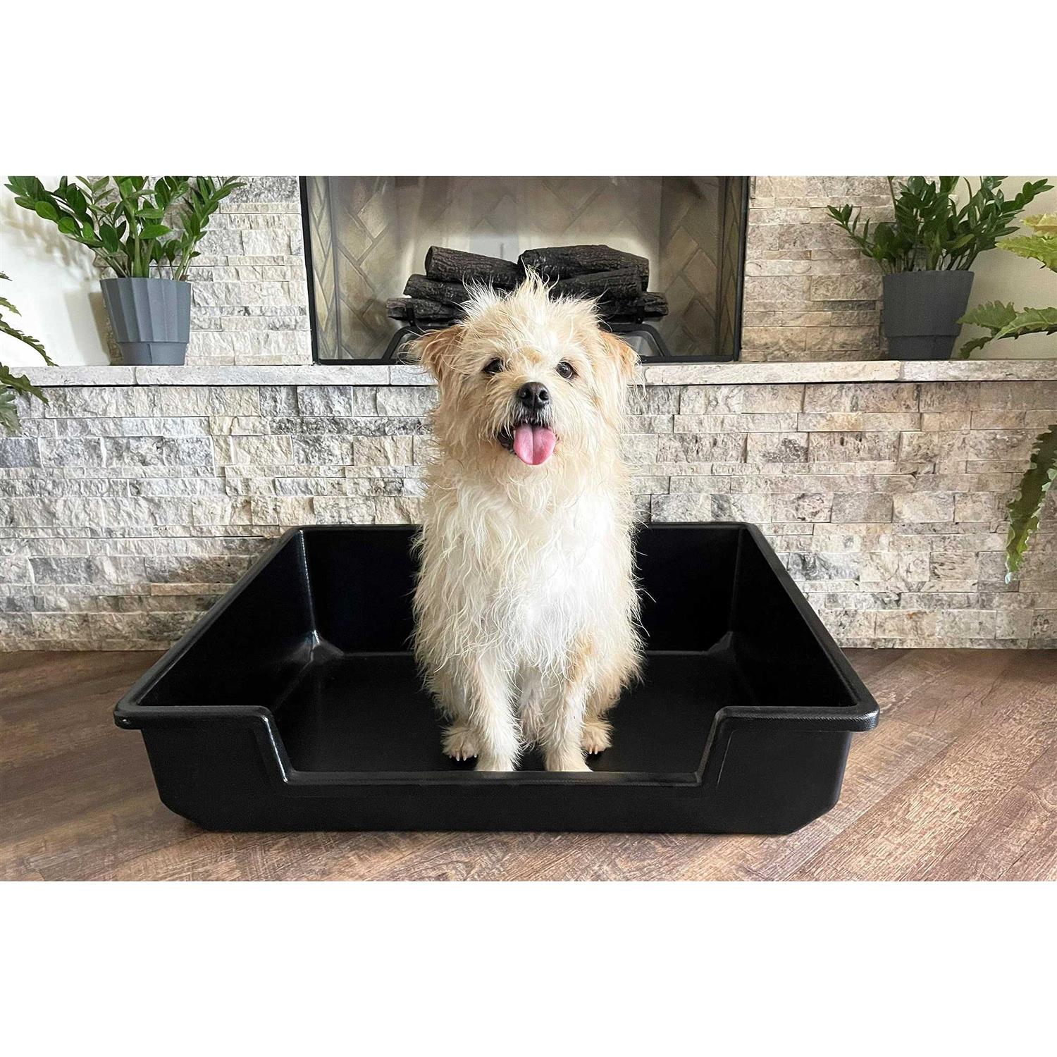 Piggy Poo and Crew Extra Large Litter Box - Nail Gallerys