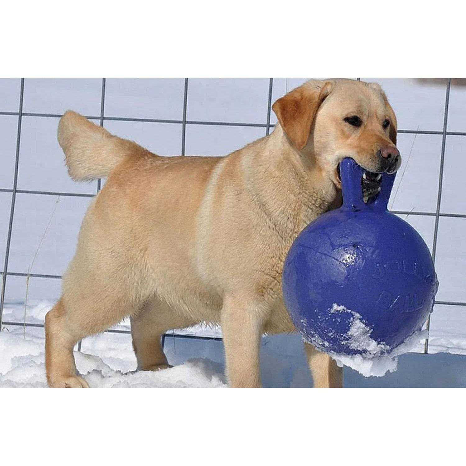Jolly Pets Tug N Toss Ball - Nail Gallerys