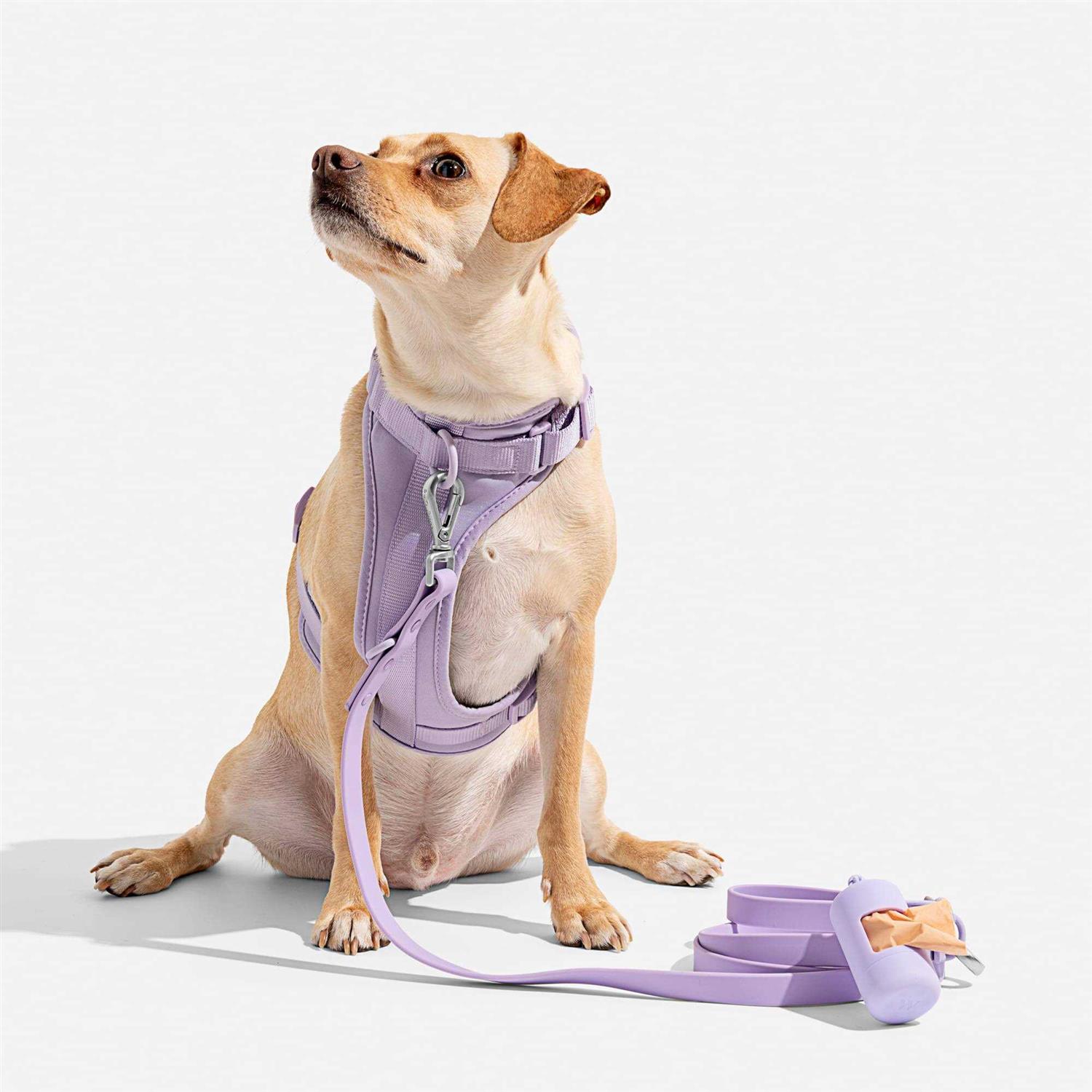 Wild One Dog Harness - Nail Gallerys