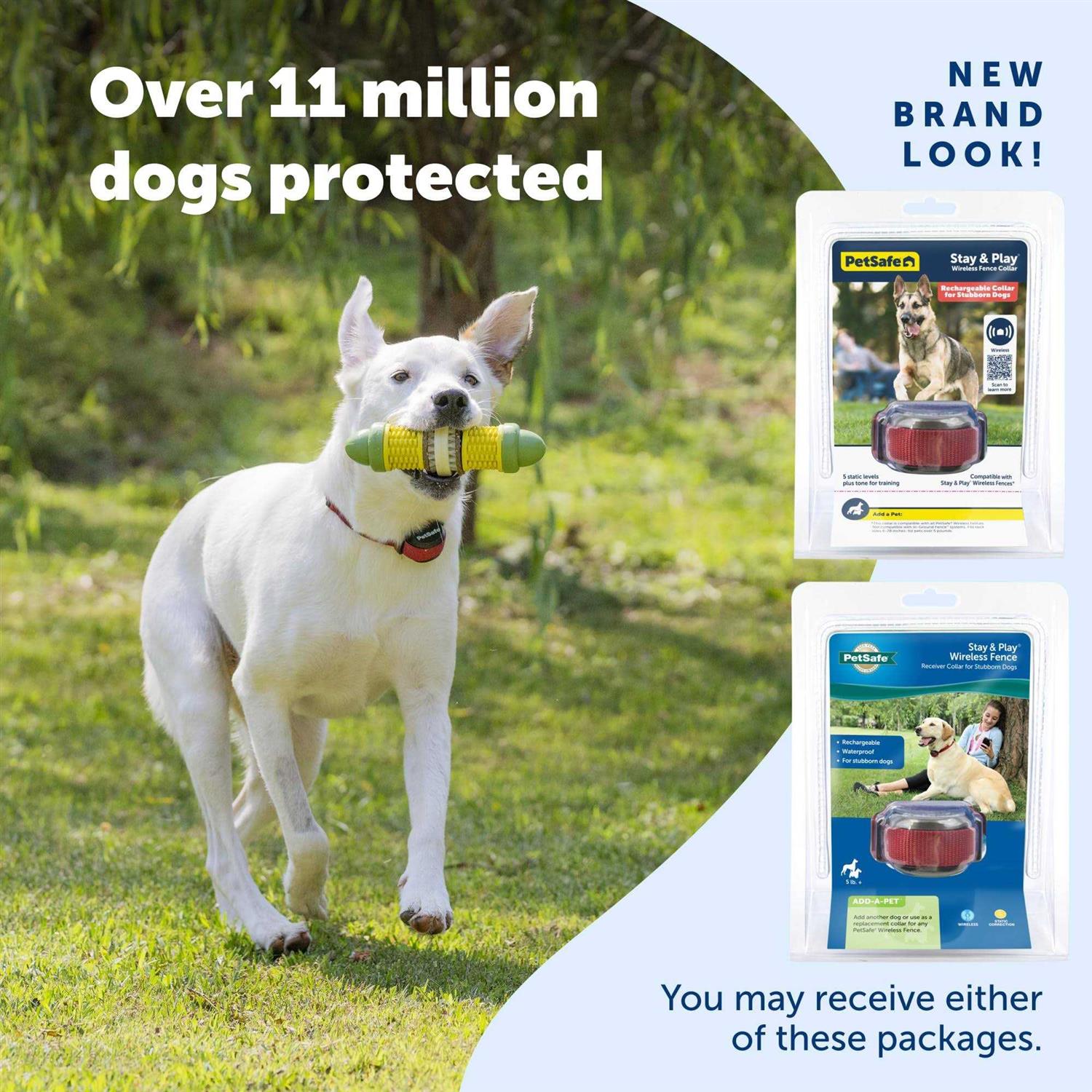 PetSafe Stubborn Dog Stay & Play Wireless Fence Receiver Collar - Nail Gallerys