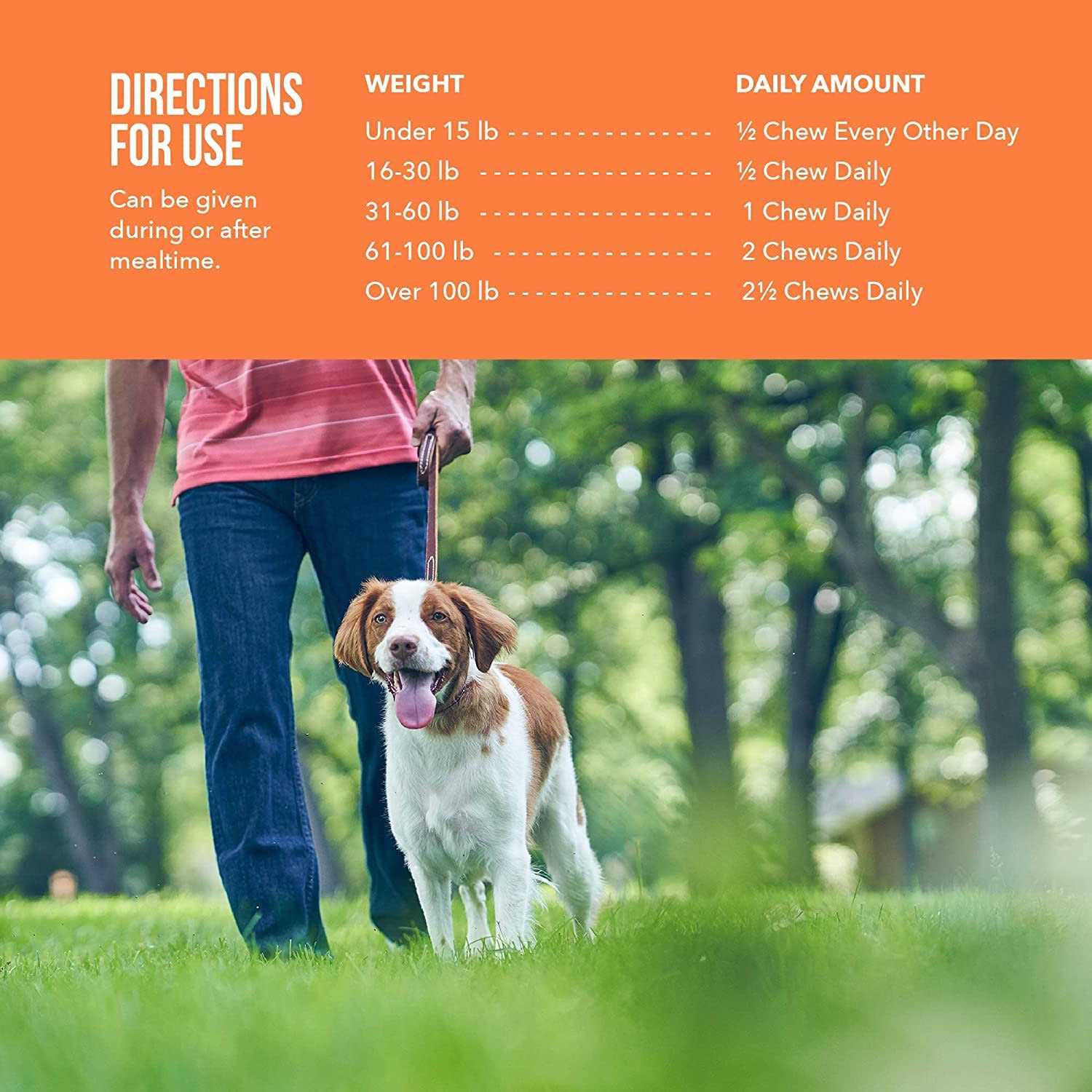 Synovi G4 Joint Supplement Soft Chews for Dogs - Nail Gallerys