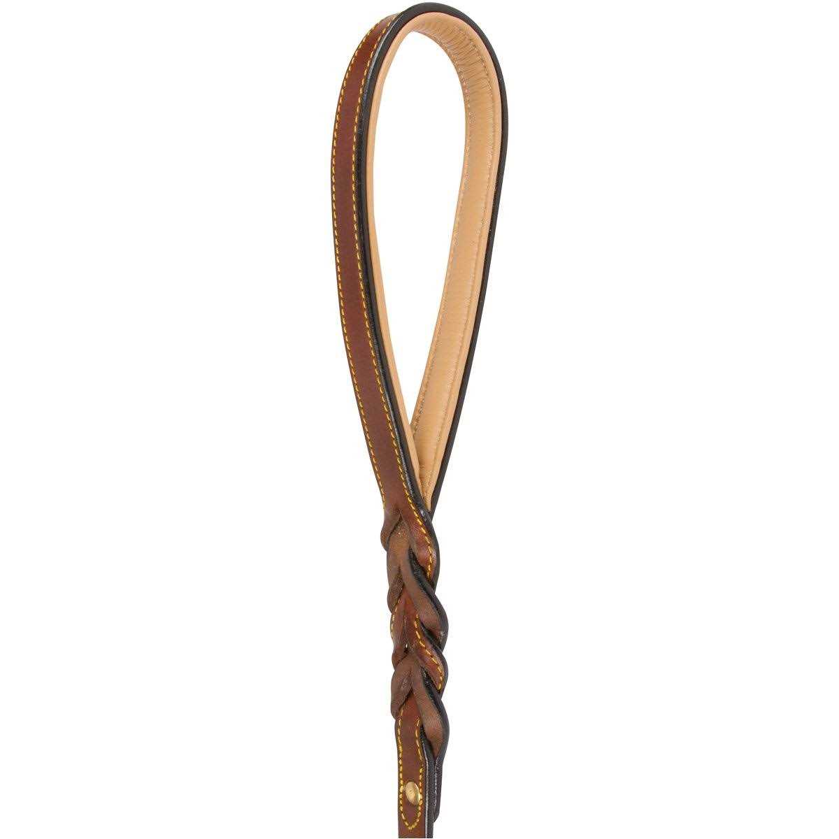 Soft Touch Collars Leather Braided Dog Leash - Nail Gallerys