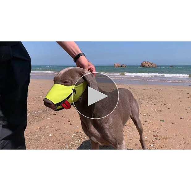 N32 Dog Muzzle Smiley Face Muzzle with Soft Breathable Air Mesh Nylon - Nail Gallerys