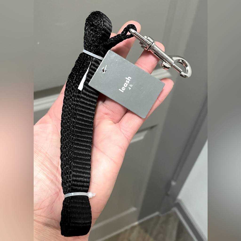 Pet Champion 4′ Metal Standard Dog Leash - Nail Gallerys