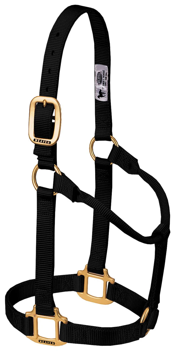 Weaver Original Nylon Horse Halter - Nail Gallerys