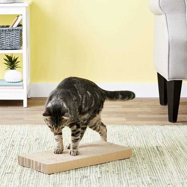 Midwest Catty Scratch Cat Scratcher - Nail Gallerys
