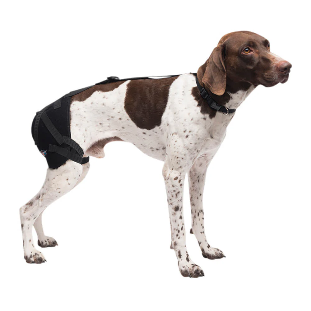 Caldera Pet Therapy Hip Wrap with Therapy Gel - Nail Gallerys