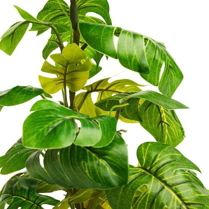 Imagitarium Stand Araceae Plant Terrarium Decor - Nail Gallerys