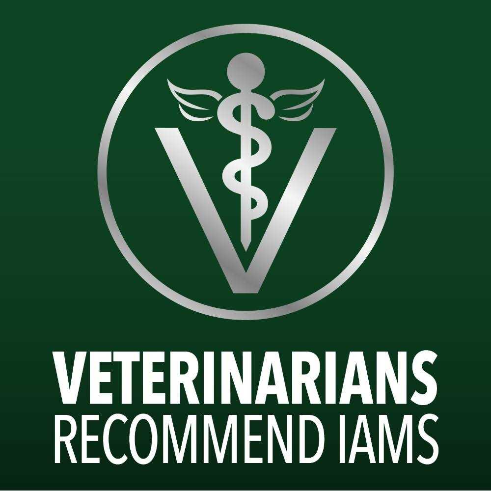 IAMS Advanced Health Skin & Coat Chicken and Salmon Recipe Dry Dog Food - Nail Gallerys