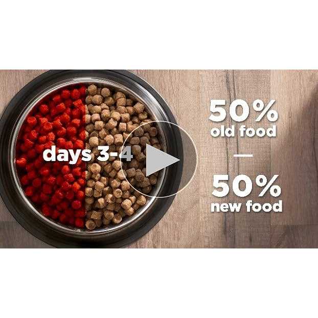 Hill’s Science Diet Adult Hairball Control Dry Cat Food - Nail Gallerys