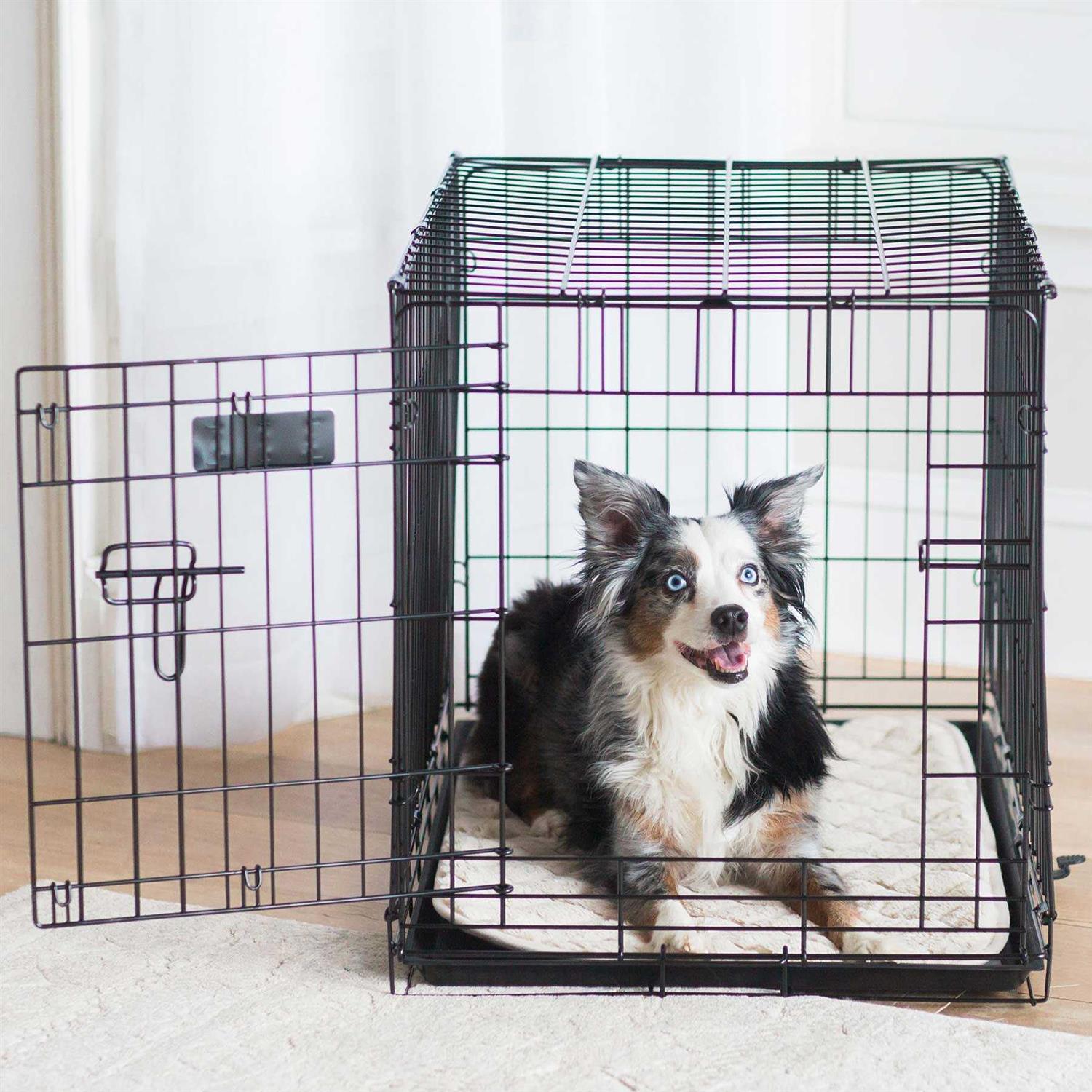 Precision Pet SnooZZy Sleeper - Nail Gallerys