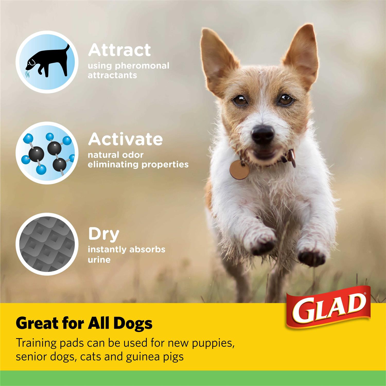 Glad for Pets Pads Training Pads - Nail Gallerys