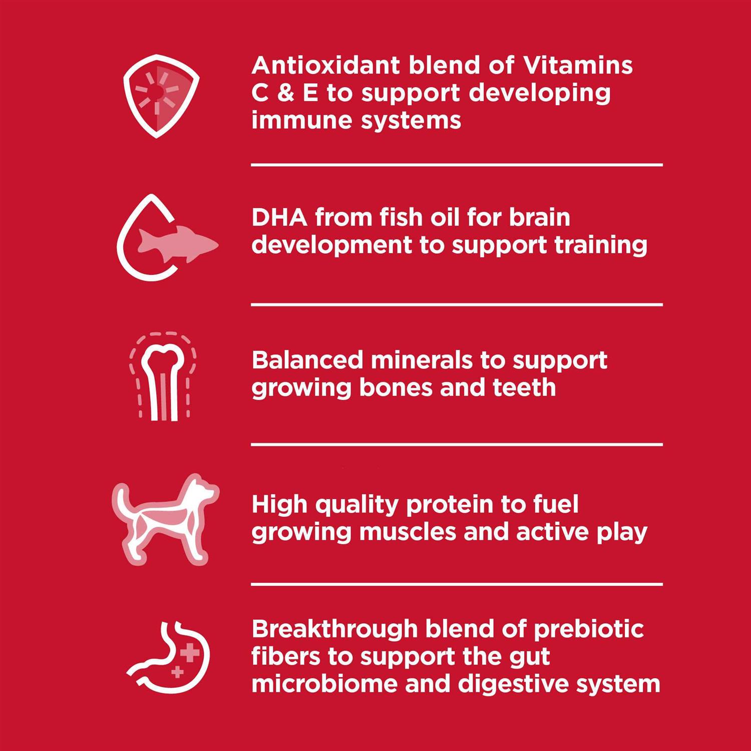 Hill’s Science Diet Puppy Small Dry Dog Food - Nail Gallerys