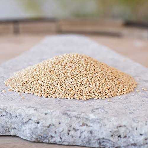 Desert Valley Supply Desert Valley Premium White Millet Proso Seeds - Nail Gallerys