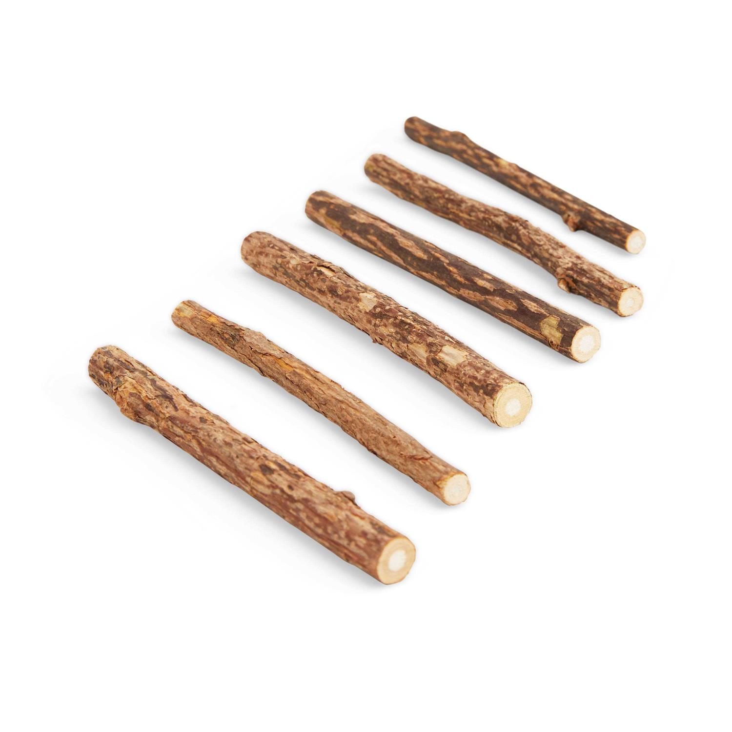 Leaps & Bounds Silvervine Sticks Cat Toy - Nail Gallerys