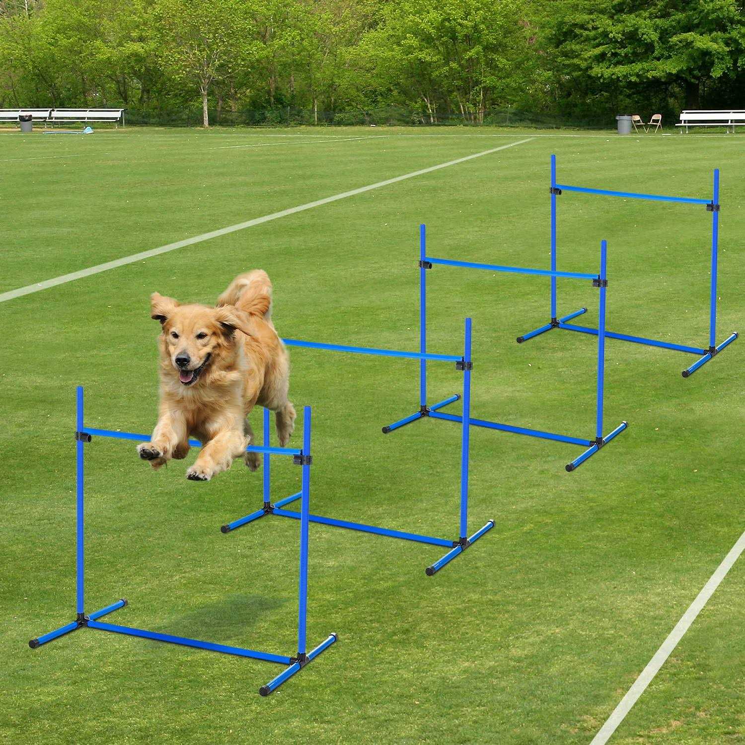 Pawhut 4 Piece Dog Agility Equipment with Adjustable Height Jump Bars - Nail Gallerys