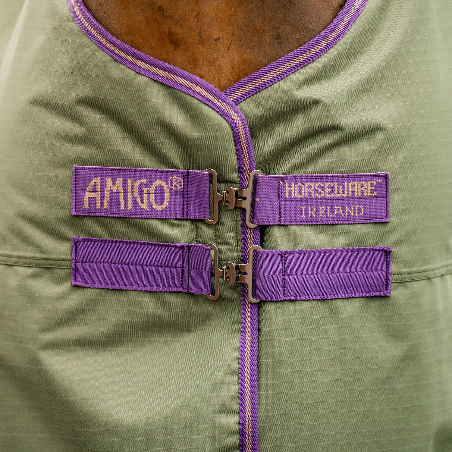 Amigo Hero Ripstop Turnout Sheet, Bramble/Winterberry - Nail Gallerys