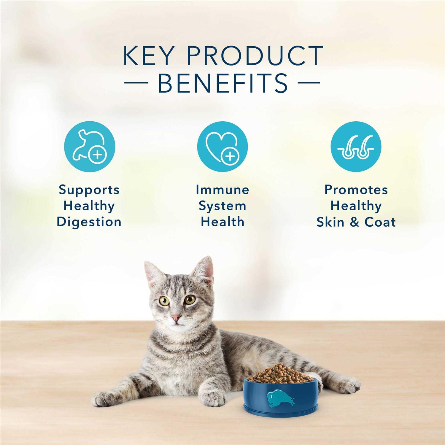 BLUE Basics Grain-Free Adult Indoor Dry Cat Food - Nail Gallerys