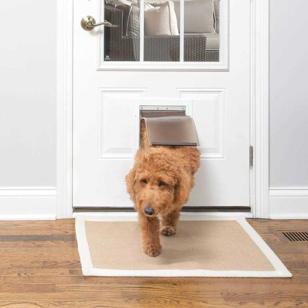 PetSafe Aluminum Freedom Pet Door - Nail Gallerys