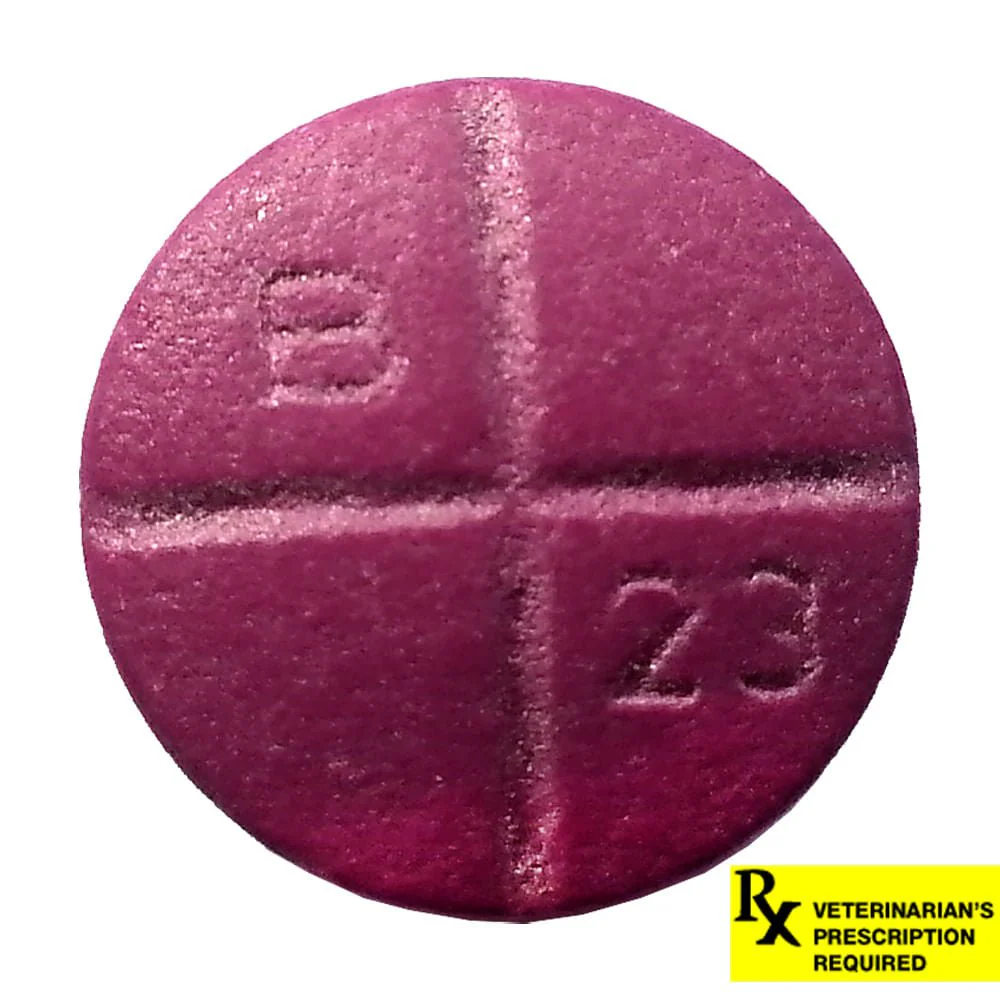 Rx Baytril (enrofloxacin) Coated Tablets for Cats & Dogs - Nail Gallerys