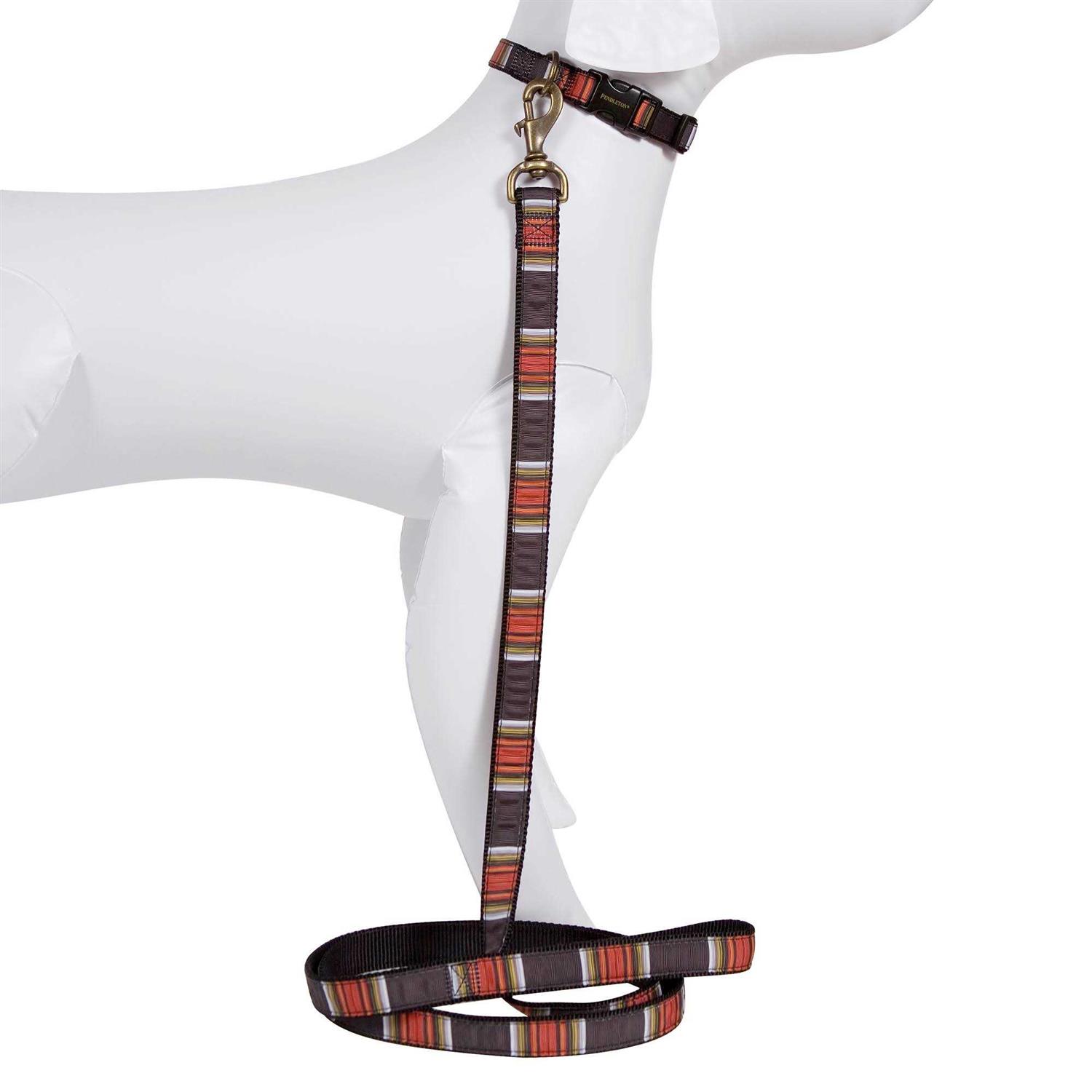Pendleton Dog Collar National Park Hiker - Nail Gallerys