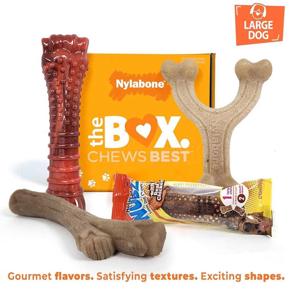 Nylabone The Box Chew Toy & Treat Gift Box Dogs - Nail Gallerys