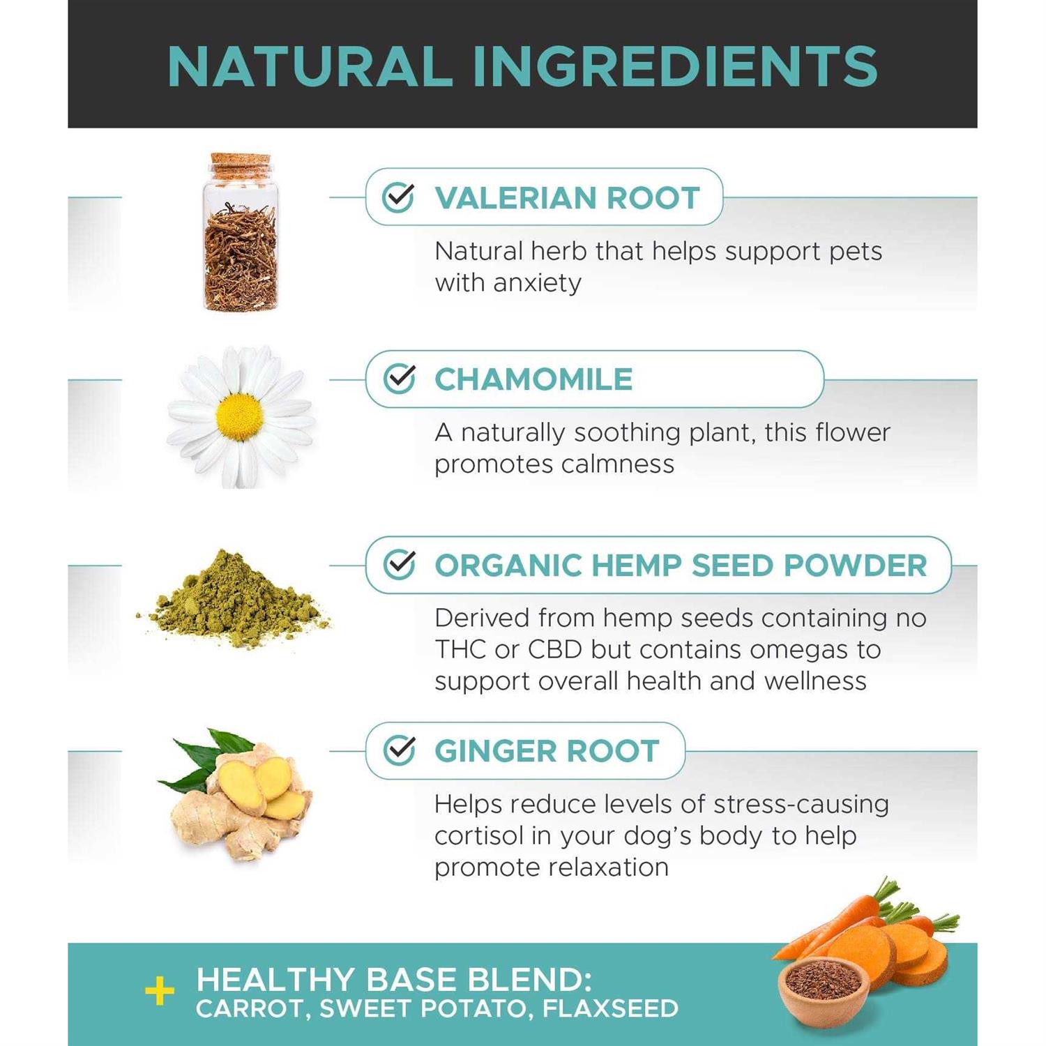 Pet Honesty Hemp Calming Beef Live Flavor Soft Chews for Dogs - Nail Gallerys